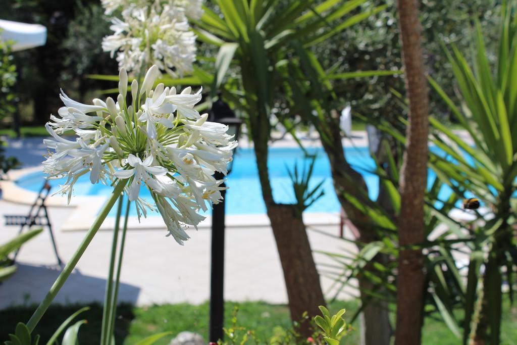 Villa Orchidea Luxury B&B Ispica Zewnętrze zdjęcie